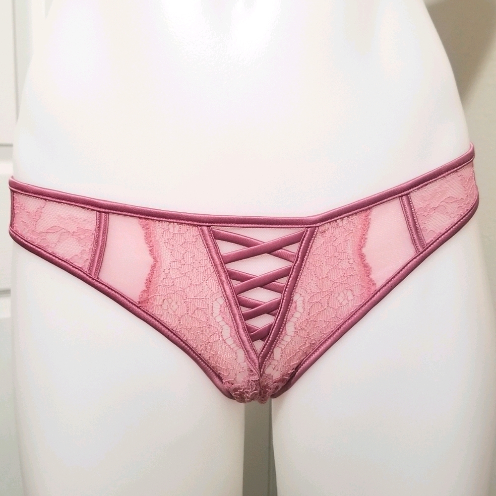 VS Dream Angels Rose Lace & Mesh Cheekini NWT - Picture 2 of 10